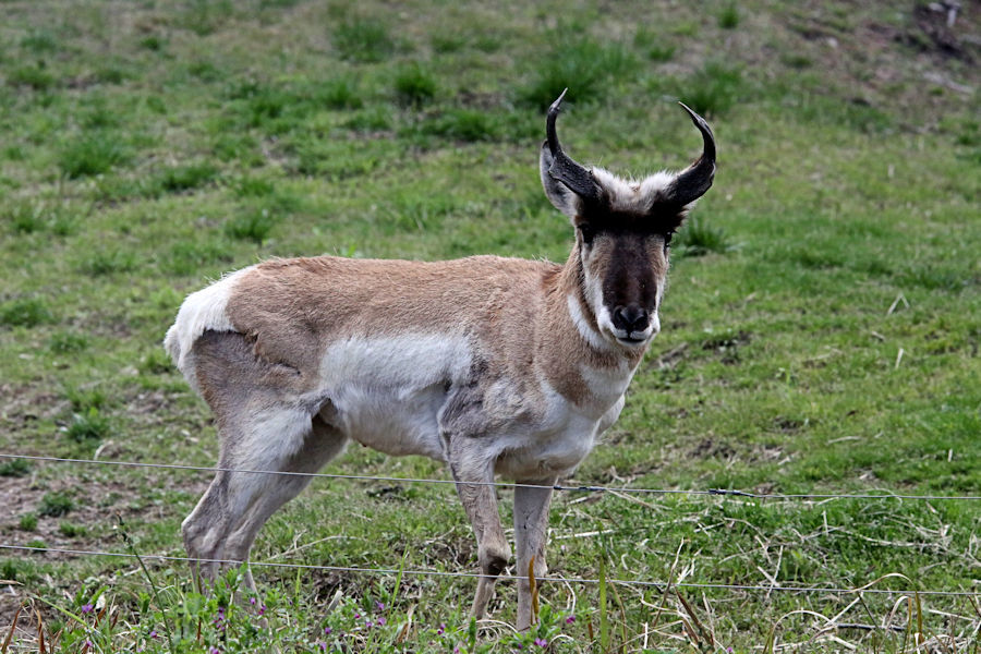 f0224624_20091901.jpg