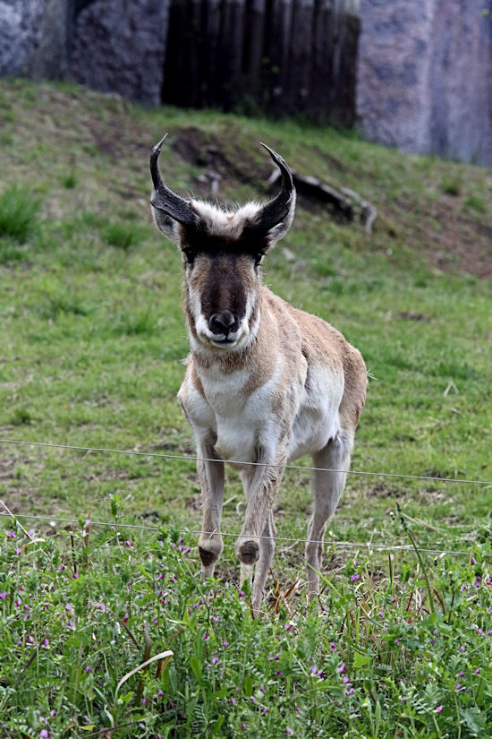 f0224624_20093952.jpg