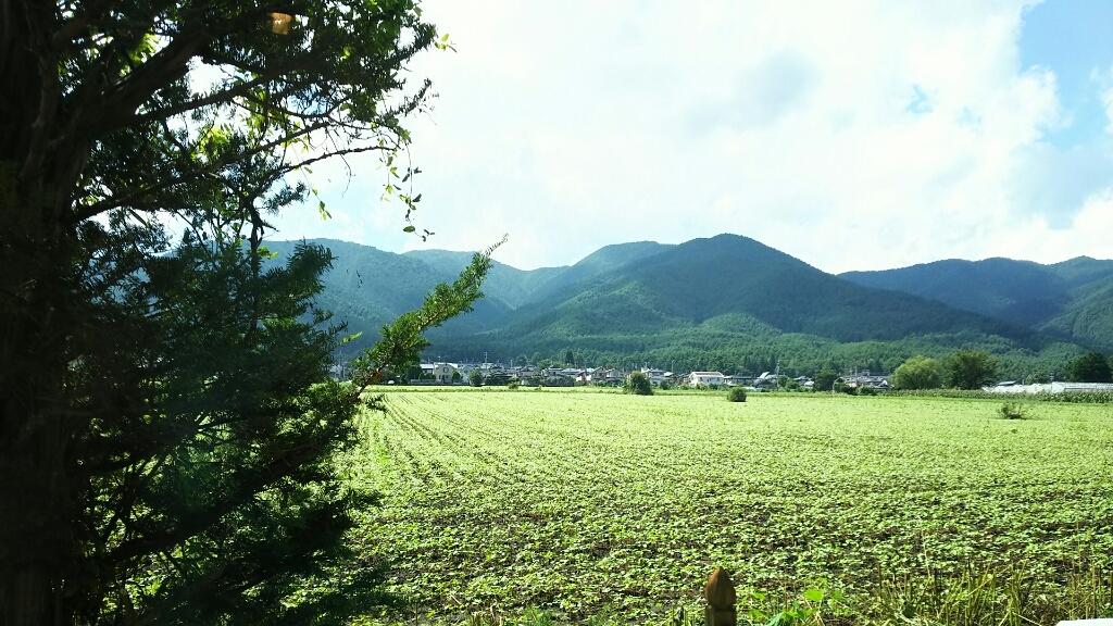 にこりこキッチン・たべりこ_e0305834_20071627.jpg