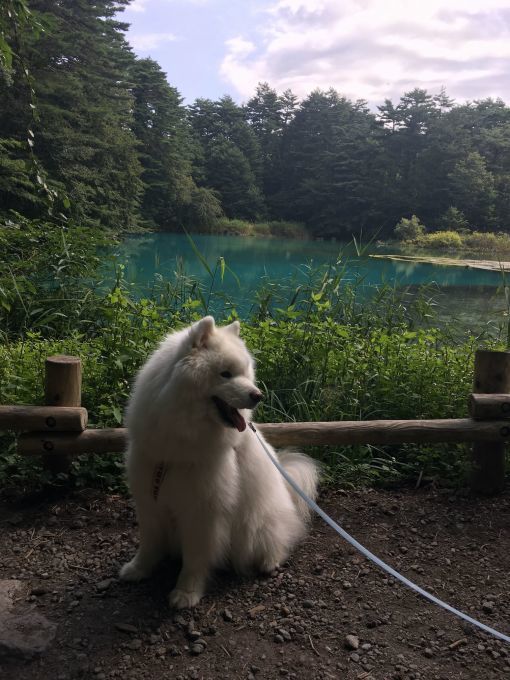 2017年秋 宮城~福島旅行 その3_f0128542_01373534.jpg