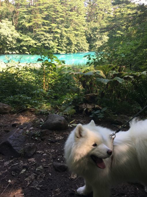 2017年秋 宮城~福島旅行 その3_f0128542_01382395.jpg