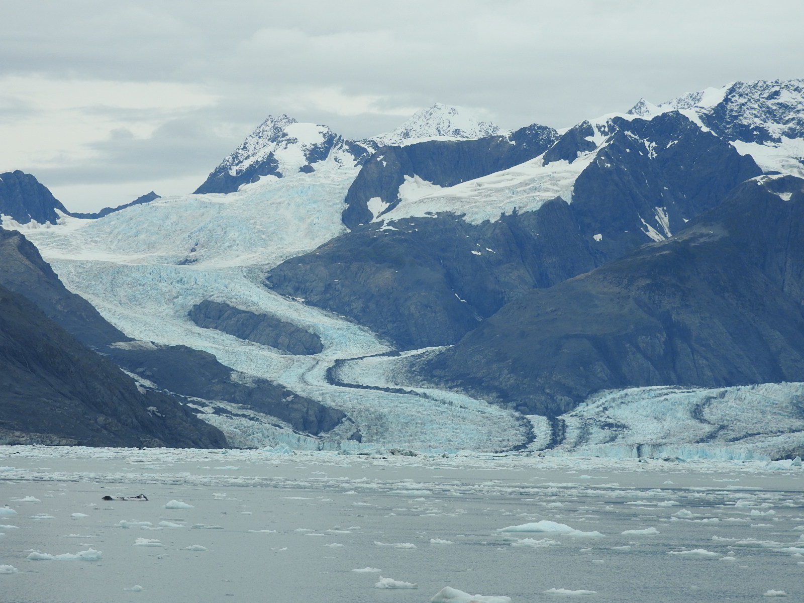 アラスカの旅　＃８Glacier Cruies (氷河クルーズ＆・・・）_c0115366_07294969.jpg