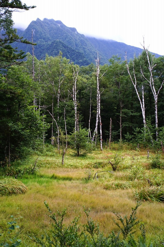 c0362972_23341407.jpg