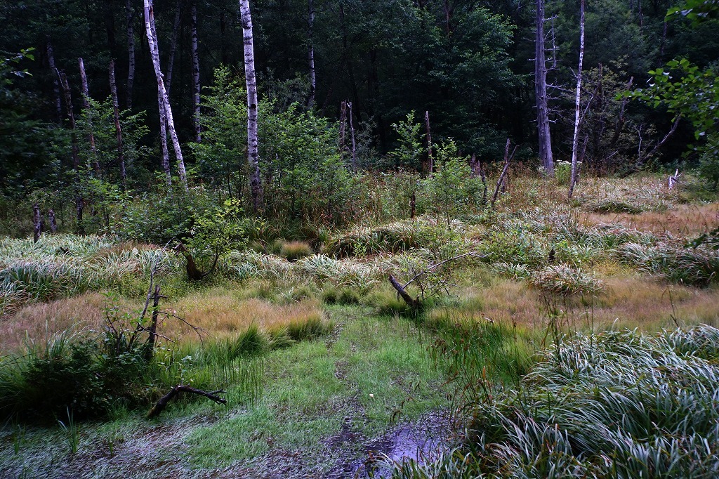 c0362972_23370953.jpg