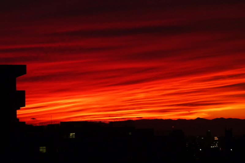 b0326576_21351151.jpg