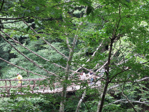 d0098183_17442516.jpg