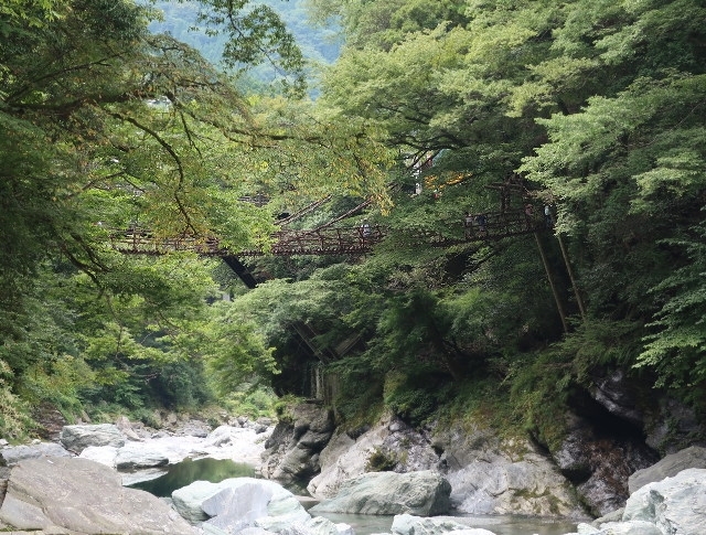 d0098183_18393221.jpg