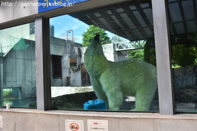 ２０１７年９月　とくしま動物園　その１　もふもふポロロ_a0052986_7113446.jpg