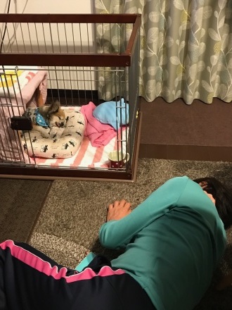 愛犬コジローとサチ子_c0128487_18243465.jpg