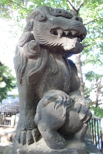 狛犬-天祖神社_d0183387_20192722.jpg