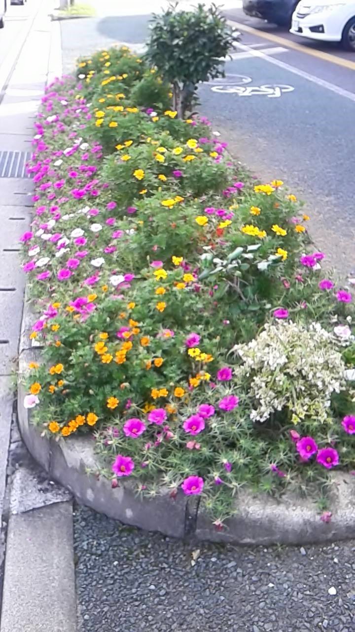 c0186691_12012065.jpg