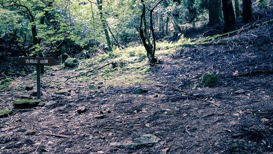 e0176993_07192764.jpg