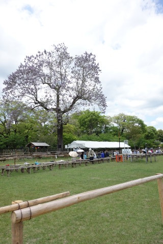 2017年春の京都＆大阪★その1 出発 上賀茂神社へ～「みそぎ茶屋」さんでランチ♪_a0244309_18534141.jpg