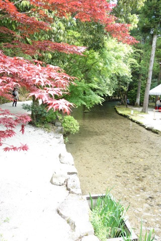 2017年春の京都＆大阪★その1 出発 上賀茂神社へ～「みそぎ茶屋」さんでランチ♪_a0244309_18565893.jpg