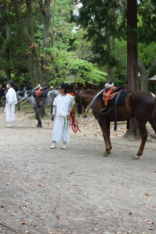 2017年春の京都＆大阪★その1 出発 上賀茂神社へ～「みそぎ茶屋」さんでランチ♪_a0244309_19015034.jpg