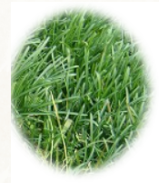 f0231709_21272612.png