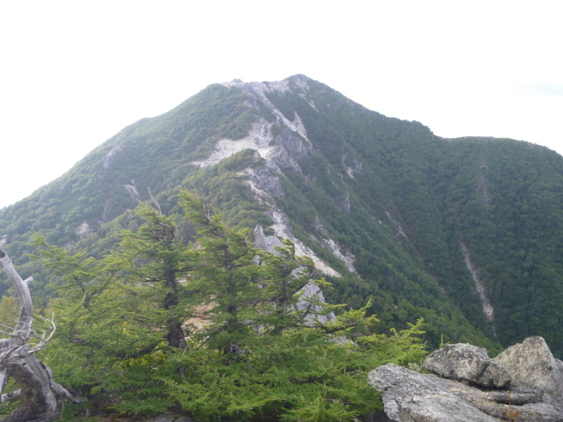 鳳凰三山 観音岳 2 804 7m 尾根を進む No ２ 風の便り