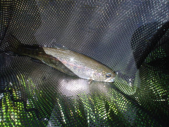 f0280717_15204992.jpg