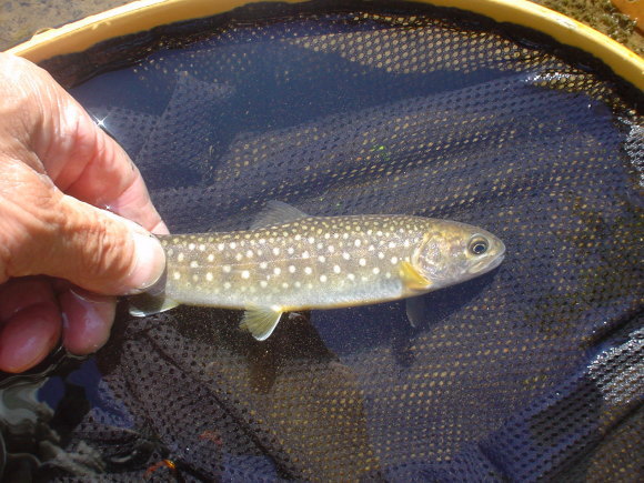 f0280717_15214375.jpg