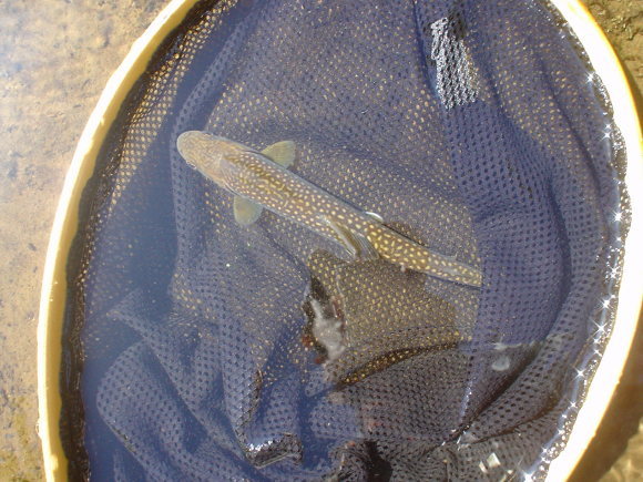 f0280717_15224475.jpg