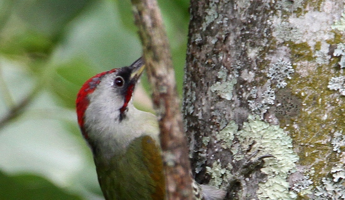 f0364220_15165983.jpg