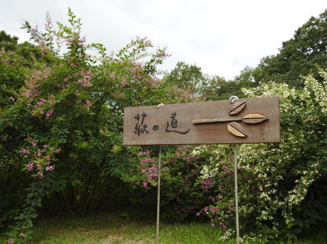 a0248728_21301090.jpg