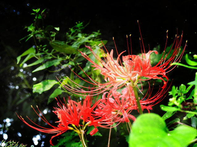 a0248728_21352926.jpg