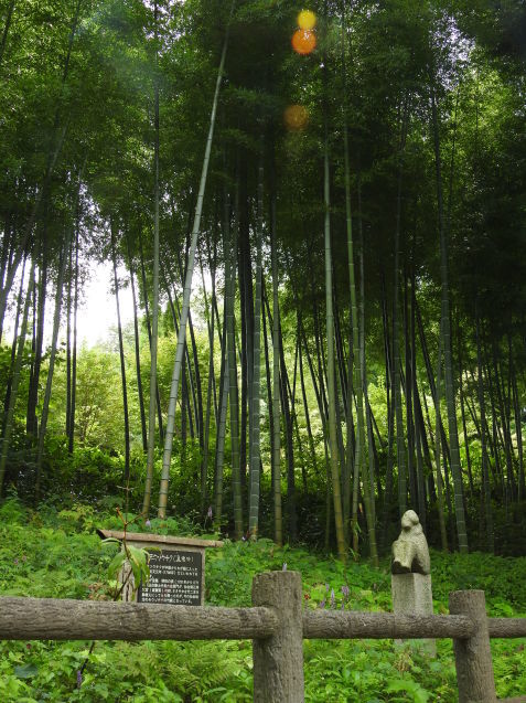 a0248728_21423477.jpg