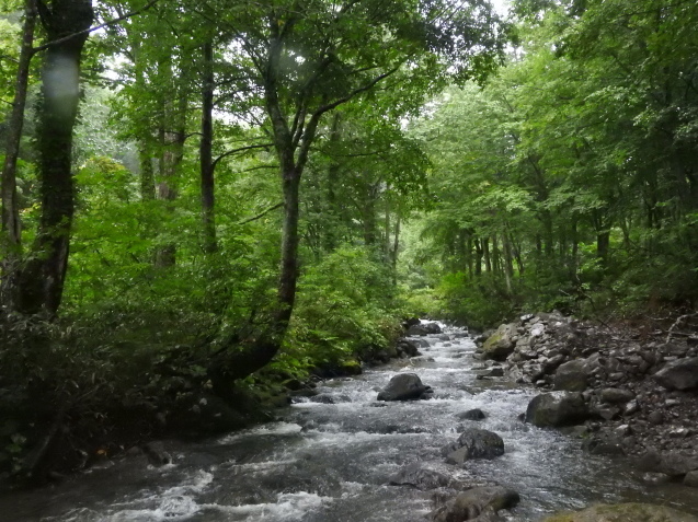 f0118332_11014411.jpg
