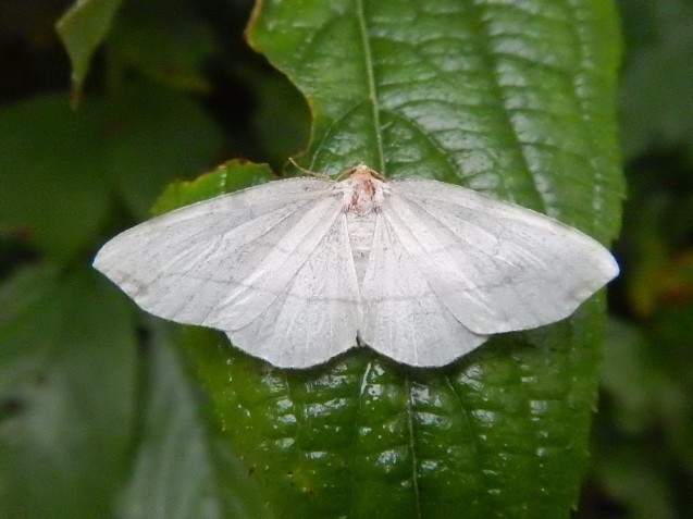 f0118332_11023307.jpg