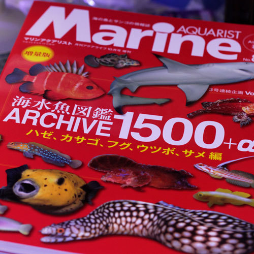 Vertex入荷!_d0221436_19195963.jpg