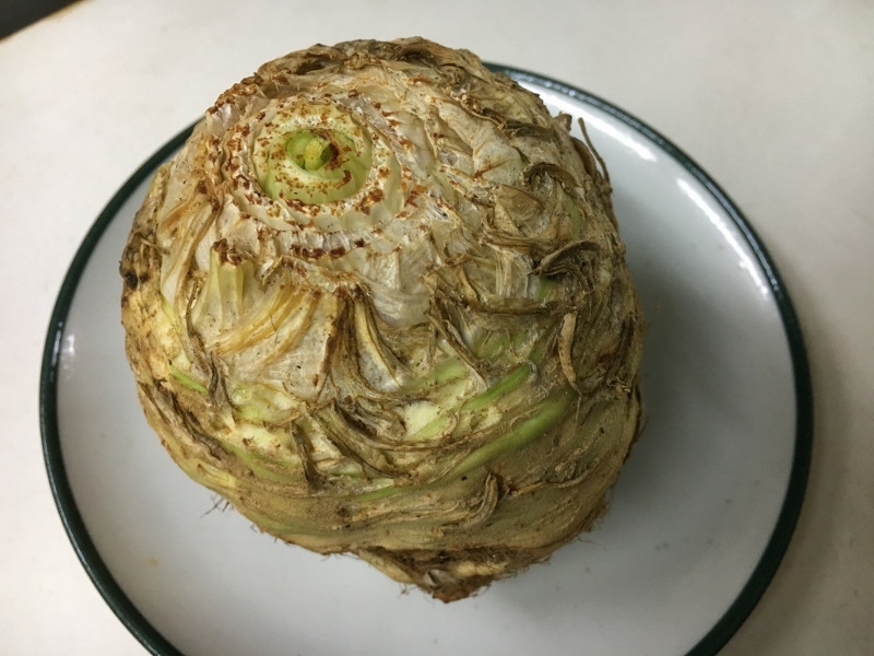 なっかなか味わえないもの_e0326953_22260993.jpg