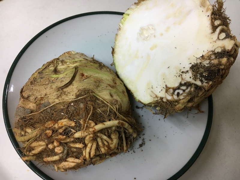 なっかなか味わえないもの_e0326953_22262644.jpg