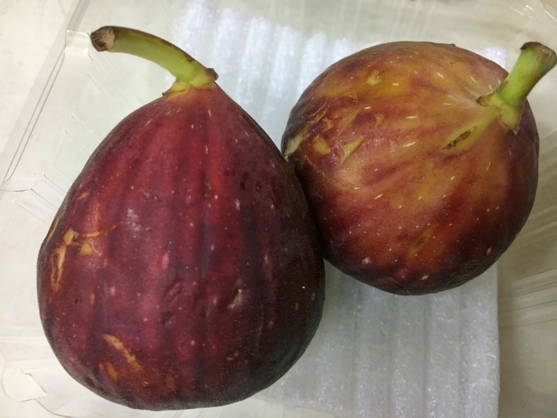 なっかなか味わえないもの_e0326953_22485613.jpg