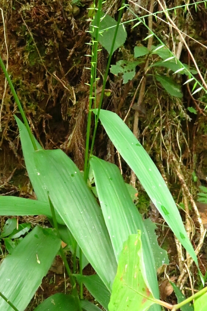 a0018655_13533361.jpg