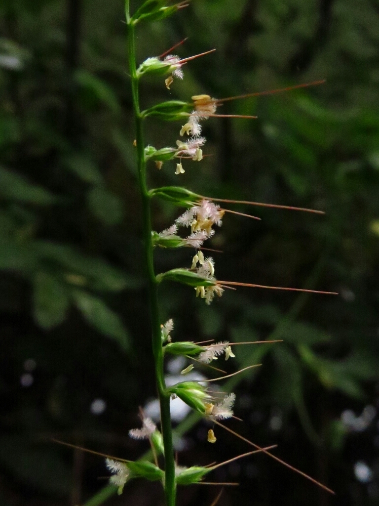 a0018655_13533660.jpg