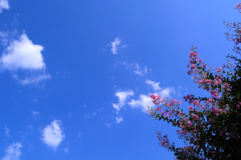 b0326576_14145321.jpg