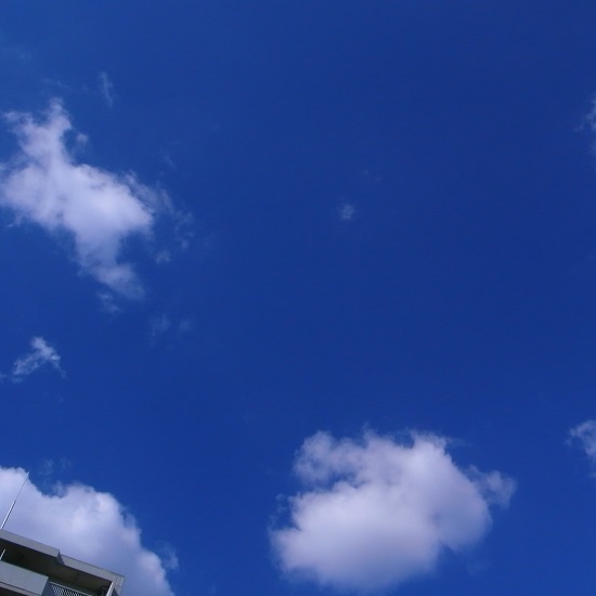 b0326576_20522531.jpg
