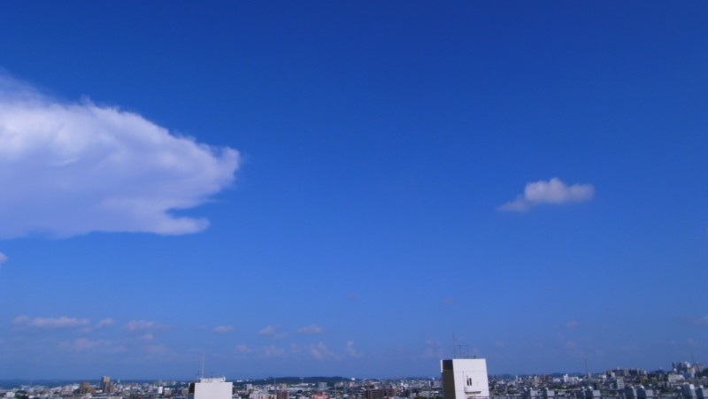 b0326576_20542254.jpg