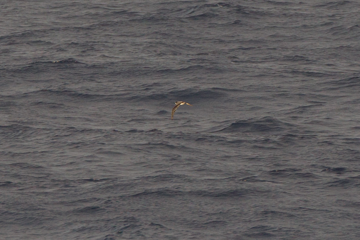 a0052080_11280478.jpg