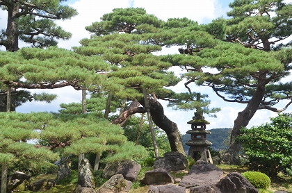 c0229483_2156832.jpg