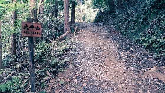 e0176993_07303145.jpg