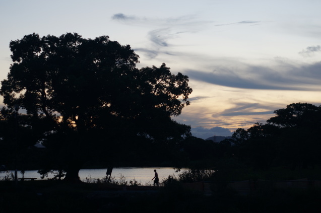 夕暮れに江津湖へ with SMC PENTAX 55mm 1:1.8_d0362495_19511431.jpg