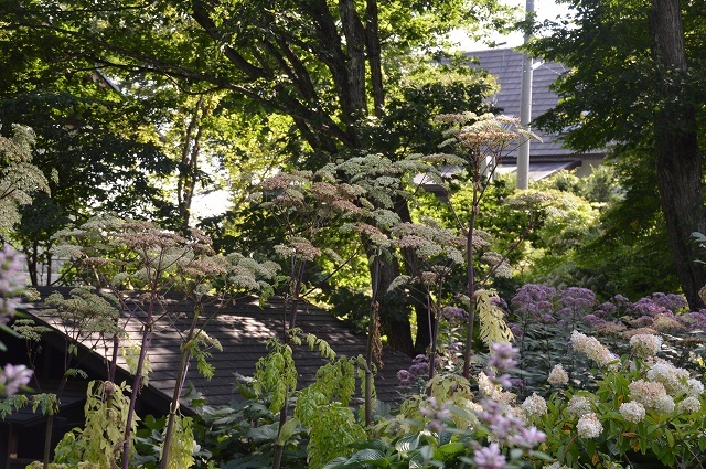 c0124100_18152185.jpg