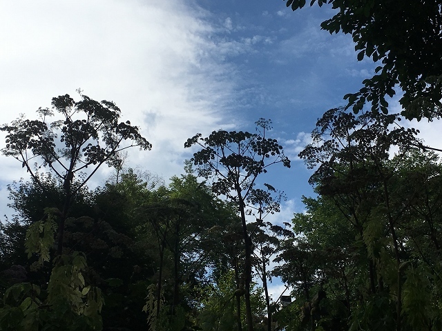 c0124100_18152461.jpg
