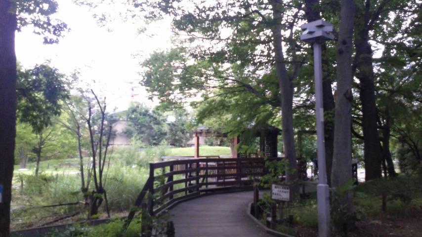 e0358504_13272918.jpg