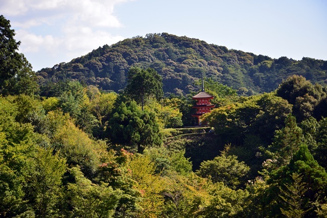 f0373905_13262445.jpg
