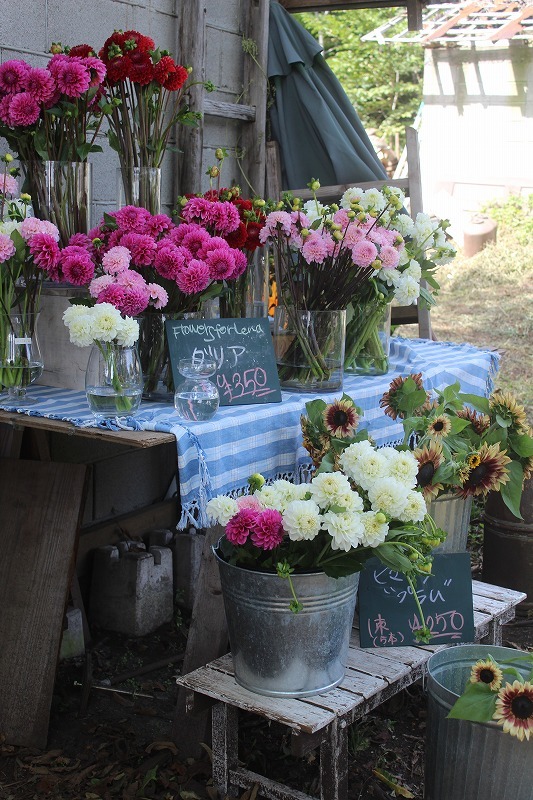 Ginger掲載商品 森のお花屋さん専用 その他 Www Tarantee It