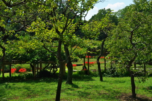 a0263109_10364093.jpg