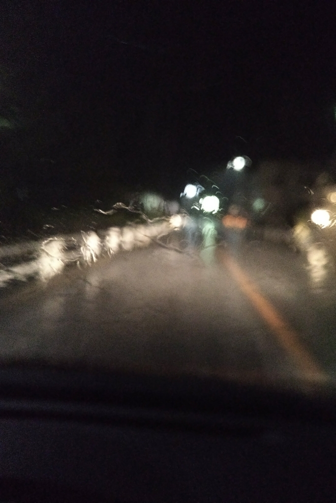 台風_a0159215_23341637.jpg